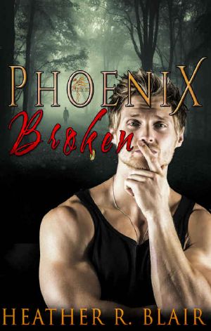 [Phoenix Inc. 03] • Phoenix Broken